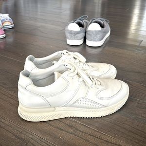 Everlane men leather everyday sneaker